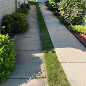 Weeding by Rena Genets Lawn Care reviewed on July 21, 2022