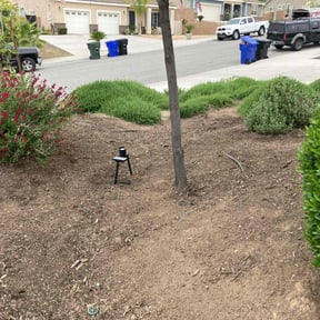 Weeding by Mighty Mavericks Yard and Landscaping Heroes reviewed on August 3, 2022