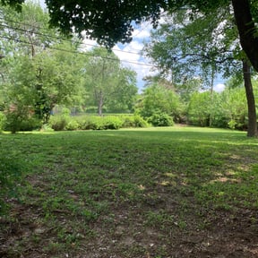 Cleanups by Quick Cut Lawn Care reviewed on April 26, 2025