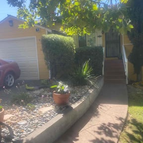 Bush Trimming by Christian Brothers Maintenance reviewed on June 30, 2025