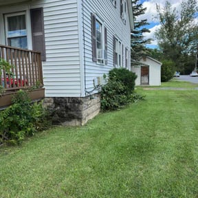 Bush Trimming by LovelyLawn Service reviewed on May 10, 2022