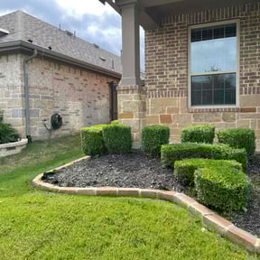 Bush Trimming by The Yard Butler of DFW reviewed on June 22, 2022