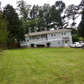 Bush Trimming by Robert Bass reviewed on January 25, 2025