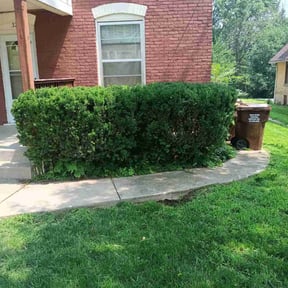 Bush Trimming by Meuniot Enterprises reviewed on July 19, 2022