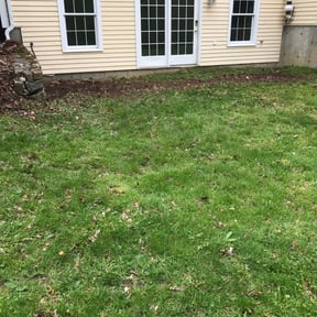 Leaf Removal by John Skitzis reviewed on July 15, 2022