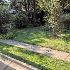 Leaf Removal by SunnyDay Lawn Service+Maintance reviewed on July 13, 2022
