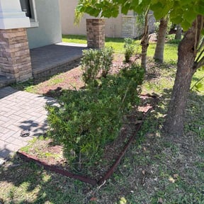 Bush Trimming by Ultimate Landscape Contractor reviewed on July 11, 2025