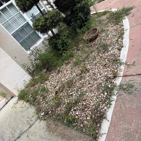 Leaf Removal by Raincrow Landscape and Mowing reviewed on October 13, 2024