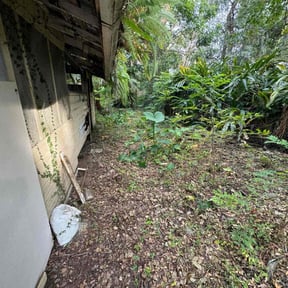 Cleanups by Neighborhood Yard Services reviewed on July 5, 2022