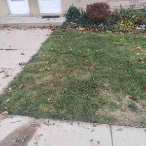 Leaf Removal by NUNEZ LAWN & LANDSCAPE reviewed on June 15, 2022