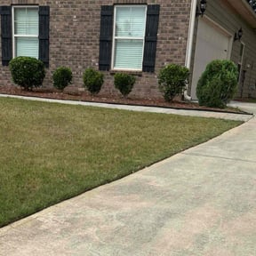 Bush Trimming by Mm lawn care llc reviewed on November 27, 2022