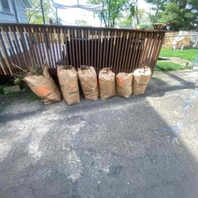 Leaf Removal by Cutter's reviewed on July 24, 2022