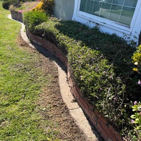 Bush Trimming by Christian Brothers Maintenance reviewed on June 19, 2025