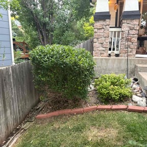 Bush Trimming by Jasper's Landscaping reviewed on July 20, 2022