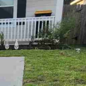 Weed Pulling by Spring lawn care reviewed on October 14, 2022