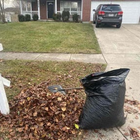 Leaf Removal by Steve’s mowing company reviewed on August 26, 2024