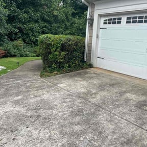 Bush Trimming by Grasstastic Landscaping LLC reviewed on June 19, 2025