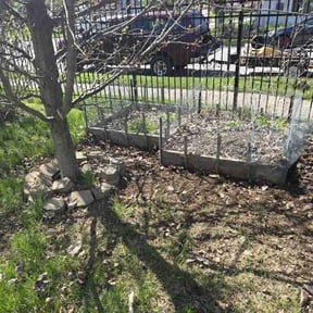 Leaf Removal by Jorge Agosto reviewed on May 28, 2022