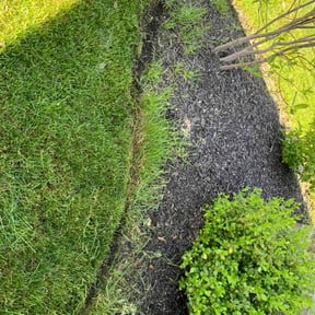 Bush Trimming by Forevergreen Landscaping/lawn maintenance reviewed on March 17, 2022