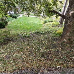 Flower Bed Weeding by Gregg's Lawn Care reviewed on November 9, 2024
