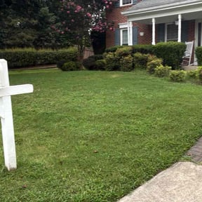 Bush Trimming by Flores Landscaping Services reviewed on June 8, 2025