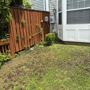 Bush Trimming by Grass Kept Clean & More reviewed on June 28, 2022