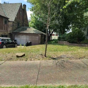 Cleanups by Lawns 4 Less reviewed on September 26, 2024