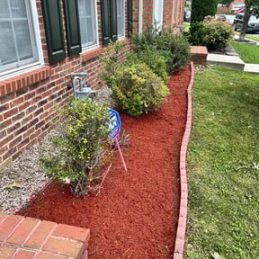 Cleanups by Red Maple Lawn Care reviewed on September 17, 2021
