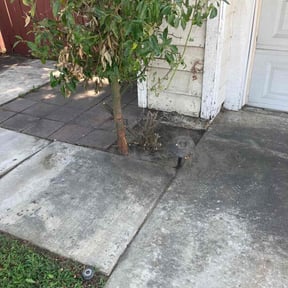 Flower Bed Weeding by Hernandez Landscaping reviewed on January 28, 2025