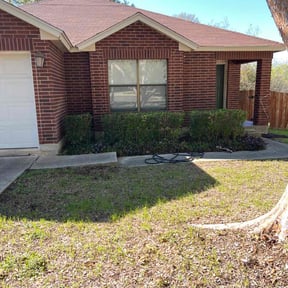 Bush Trimming by R &M landscaping. reviewed on March 13, 2025