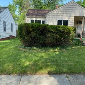 Bush Trimming by START2FINISH 247 reviewed on April 14, 2022