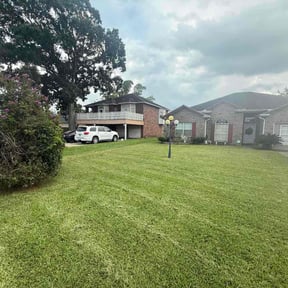 Bush Trimming by Chop Shop Lawns and Landscaping reviewed on April 25, 2025