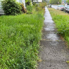 Cleanups by Bryon&quot;s Landcaping Service reviewed on November 19, 2024