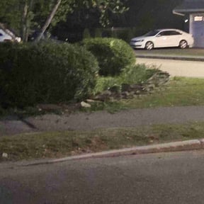Bush Trimming by Tex Star property services reviewed on June 2, 2022