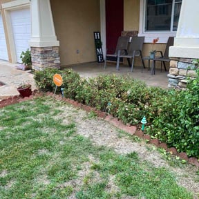 Bush Trimming by Lawns Plus LLC reviewed on June 12, 2022