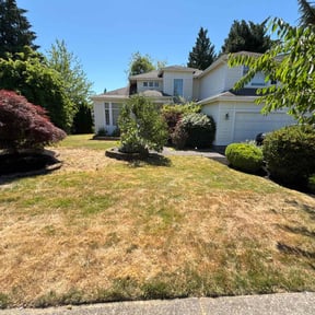 Mulching by Vertical Lawn Care reviewed on August 9, 2024
