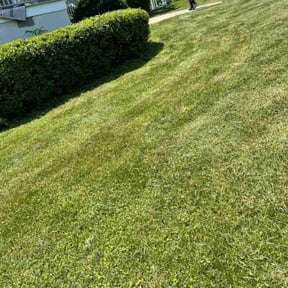 Bush Trimming by Andrew White reviewed on May 12, 2022