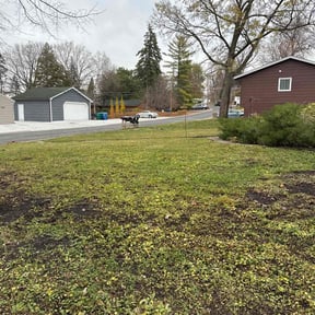 Cleanups by Trophy Lawns of Georgia reviewed on May 14, 2022