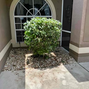 Bush Trimming by Lawn Care reviewed on April 23, 2023