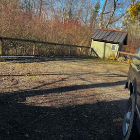 Leaf Removal by All Exclusive reviewed on June 12, 2022