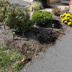 Bush Trimming by Carbon Dioxide Recyclers reviewed on July 19, 2025