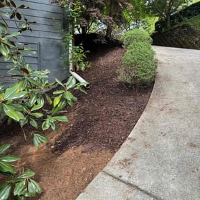 Bush Trimming by Cutting up Lawn and Tree Care reviewed on November 14, 2022