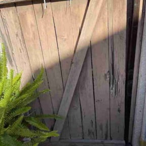 Bush Trimming by QA'd Residential Services reviewed on August 25, 2021