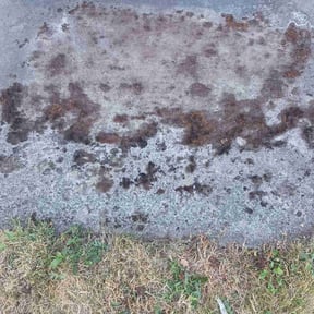 Cleanups by John Taylor reviewed on May 2, 2022
