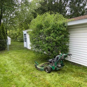 Bush Trimming by Paparo Lawn Care reviewed on August 8, 2022