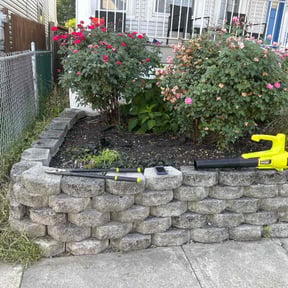 Weeding by Armed and Ready Services reviewed on June 4, 2025