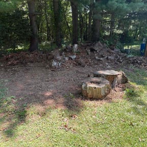 Cleanups by Greenwood Irrigation & Lawn Care LLC reviewed on July 27, 2023