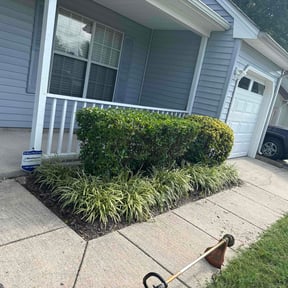 Bush Trimming by Longview lawns and Land scaping LLC reviewed on July 27, 2022