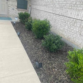 Flower Bed Weeding by Thomas Scott Landscaping reviewed on July 15, 2020