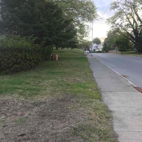 Leaf Removal by Lawn masters reviewed on June 24, 2022